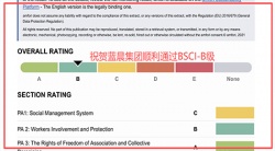 祝賀中山藍晨科技股份有限公司2026年快速通過BSCI驗廠-B級